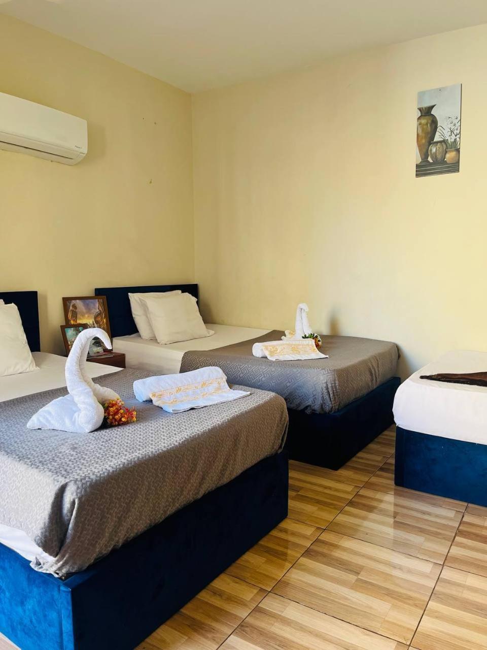 New Revento Hotel القاهرة المظهر الخارجي الصورة